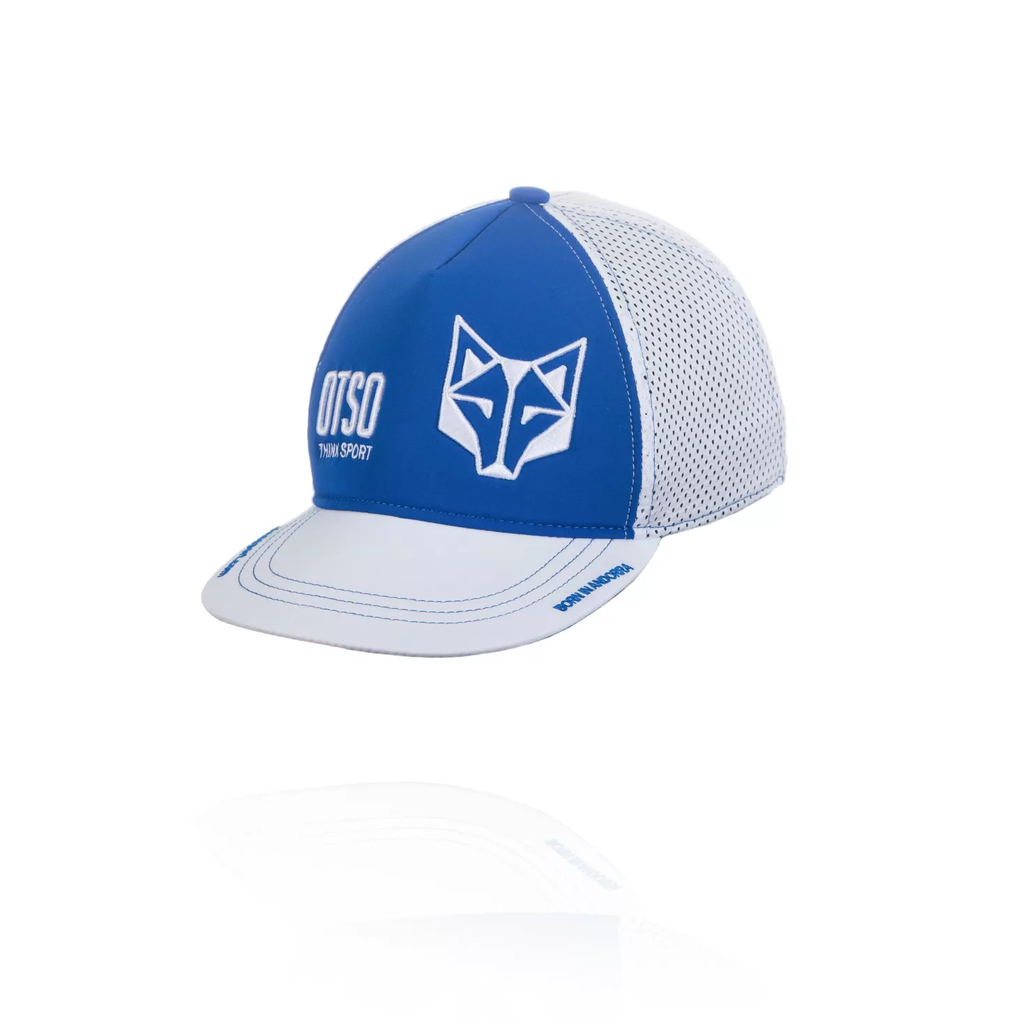 Hot Gorra snapback - Electric Blue & White Gorras | Gorras Para Correr